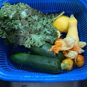Local fresh harvested veggies (When Available)
